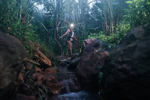 BIB: 
                            <button type="button" onclick="openModal(26421977)" class="btn btn-primary btn-sm float-right btn-popup" data-toggle="modal" data-target=".modal-high-quality">
                        <i class="fas fa-shopping-cart"></i> Add to Cart
                    </button>
                                            <button type="button" onclick="isThisMe(26421977, true)" class="btn btn-success btn-sm float-right btn-popup btn-isme hidden" data-toggle="tooltip" data-placement="bottom" title="นี่คือรูปของคุณใช่ไหม คลิกที่นี่เพื่อเอาเข้าอัลบั้ม">
                        <i class="fas fa-plus"></i> Add to album
                    </button>
                    <button type="button" onclick="isThisMe(26421977, false)" class="btn btn-warning btn-sm float-right btn-popup btn-isnotme hidden">
                        <i class="fas fa-ban"></i> Remove from album
                    </button>